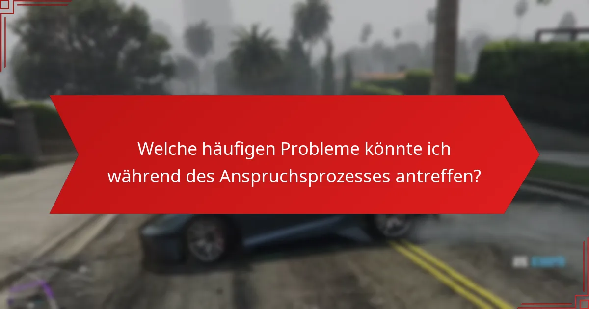 Welche häufigen Probleme könnte ich während des Anspruchsprozesses antreffen?